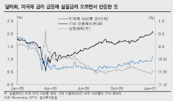 "달러 강세, 금리 급격한 상승 때문…숨 고르기 오면 다시 약세로"