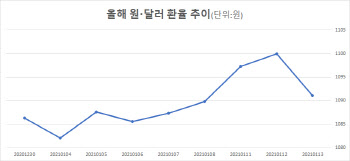 힘 빠지던 달러…블루웨이브 타고 다시 강세로