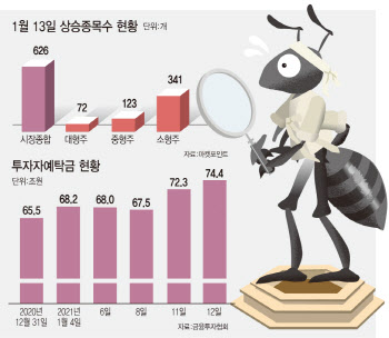 스마트 개미…덜 오른 종목에 '돋보기'