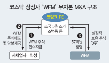 내 돈 한푼 없이 상장사 ‘꿀꺽’…아무도 처벌받지 않았다