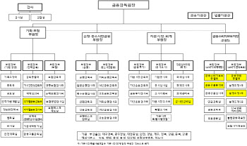 금감원 분쟁조정국 '2곳→3곳'…국·실장에 70년대생 포진