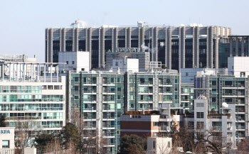 '평당 8000만원'…아파트보다 몸값 높은 도시형생활주택