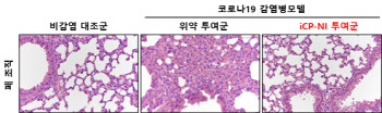 셀리버리, 코로나치료제 iCP-NI 전세계로 특허범위 확대