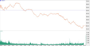 시총상위株 부진에 하락 마감…'954선'