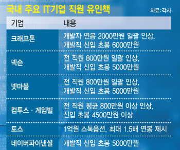 초임 6천에 2억 연봉도 수두룩?…“개발자 구하기 어려워요” IT기업 하소연