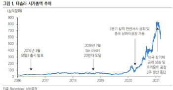 테슬라 추락…LG·삼성·SK 배터리3사도 '뚝'