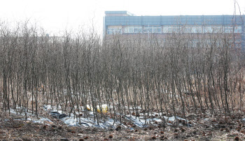 광명서 이땅저땅 땅쇼핑…“1000㎡ 모아 아파트 받을래”