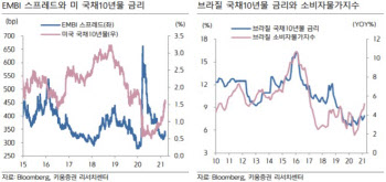 "美 금리에 신흥국 자금유출 압력…조기 금리인상 나설 수도"