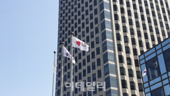 LG 지주사 분할 초읽기…주총 앞두고 주가 '흔들'