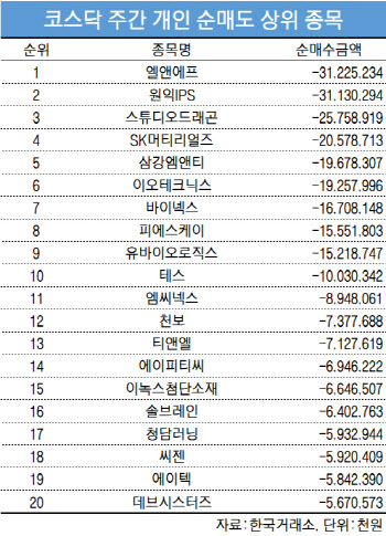 코스닥 주간 개인 순매도 1위 '엘앤에프'