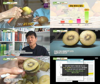 SBS생방송투데이, 계절성 우울증 극복법 소개...하루 2알 썬골드키위 섭취