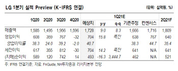 LG, 주력사업 강화 시작…주가 순자산가치 대비 67% 할인-NH