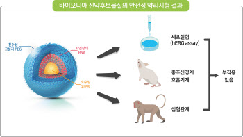 바이오니아, 섬유증 신약후보물질 '약리 안전성' 확인