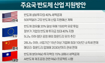 반도체 1위 지킨다…정부, 세제·금융 지원 검토