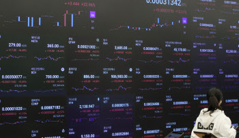 "인정못해" Vs "투자자 보호 Vs "중장기 과제"…암호화폐 제도화 당정 온도차