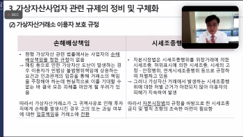 "현행 가상자산 관련 법률, 손해배상 책임 규정 없어"