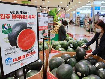 롯데마트 ‘K품종 육성 프로젝트’, 미품쌀·블랙위너 수박 선봬