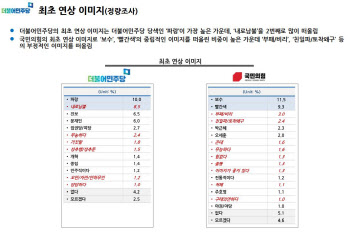 與내부 보고서 "민주당 이미지=내로남불·성추문·중년男"