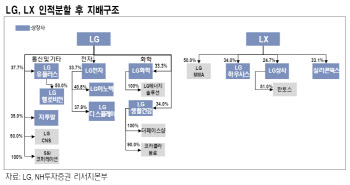 LG, 오늘 인적분할 변경상장…주력사업 강화 구조개편 시작 -NH