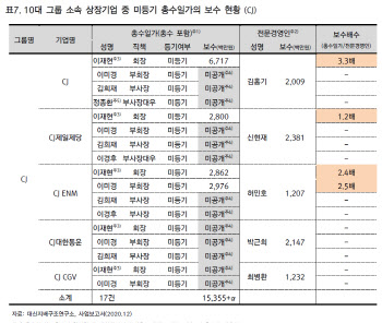 “대기업 총수일가 미등기 임원이지만…보수 2~3배 더 챙겨”