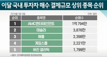 밈주식·암호화폐·스팩 등 쏠림화…투기거래 확대 `우려`