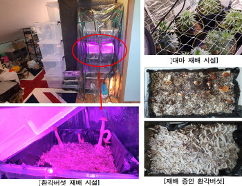 지난해 마약사범 1만8050명 '역대 최다'…韓 안전지대 아니다