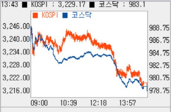 옵션만기 앞두고 이틀째 조정…1% 가까이 하락