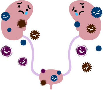 신장암, 남성 환자가 여성보다 2배 많은 이유가 ‘흡연’