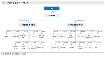 SKT, 구독 서비스 성과로 주가 결정될 듯-메리츠