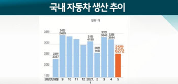 車반도체 보릿고개 지속…현대차·기아 전망은?