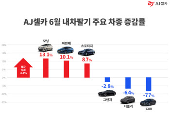 중고차 대세 떠오른 모닝·아반떼‥G80 등 대형세단은 `주춤`