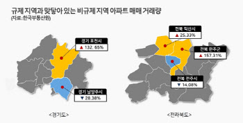 규제하니 옆 동네로 쏠리네…풍선효과에 '비규제지역' 인기