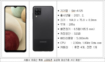 서울시, 월 1만9526원 ‘어르신 스마트폰’ 25일부터 보급