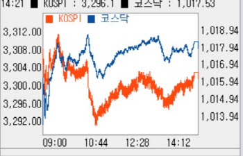 개인·외인 이틀째 동반 매수…소폭 올라 `1017선`