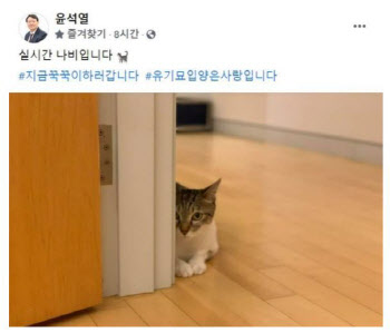 "지금 꾹꾹이 하러"…윤석열, SNS에 반려묘 사진 게재