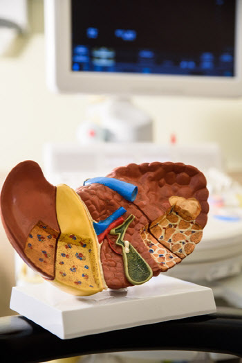 간염 유형 따라 원인·증상 다르고 치료법도 제각각