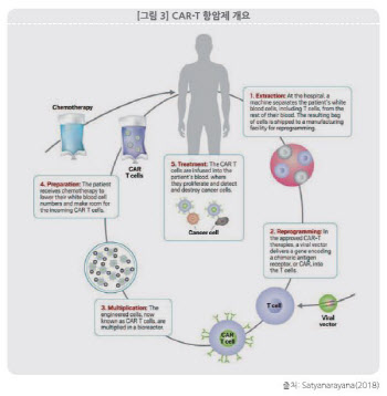 [주목! e기술] 면역세포치료제