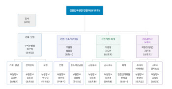 정은보 금감원장, 조기 임원 인사 단행하나