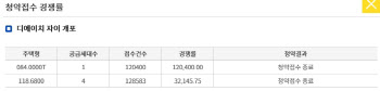 15억 로또 ‘디에이치자이개포’ 줍줍에 25만명 몰렸다