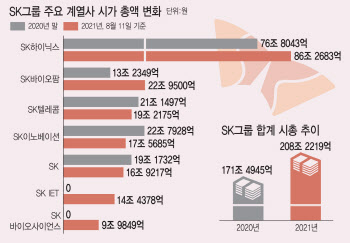 '한국의 버크셔' SK그룹…쪼개고 상장하고 `바쁘다 바빠`
