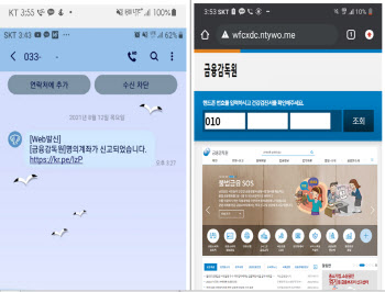 금감원에 명의계좌 신고됐다고?…이런 문자면 “보이스피싱”