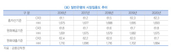 카뱅도 소용없네...은행 집중도 여전