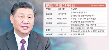'시진핑 리스크' 피해 한국 눈독…"제2의 쿠팡 찾기"
