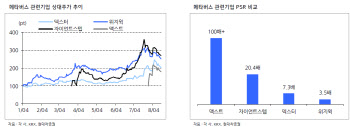 메타버스株, 국내가 더 비싸다…투자팁은?