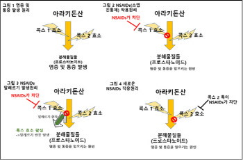 소염진통제 먹으면 알레르기 반응 나타나는데...백신 접종 후 꼭 먹어야 하나?