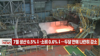  7월 생산 0.5%↓·소비 0.6%↓…두달 만에 나란히 감소