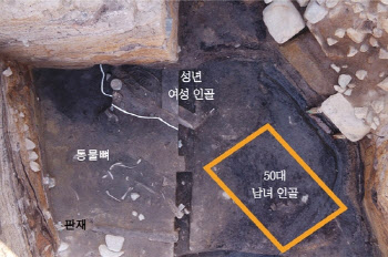월성서 발견된 키 135cm 여성 유골...신라시대 '인간제물' 바친 이유는