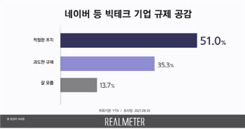 국민 51% "빅테크 기업 규제 적절하다"