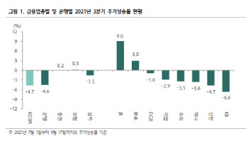 "당국 가계대출 정책, 은행株 수익성엔 이상 없다"