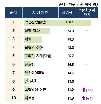 작년 사망자 30만명 역대 최대…사망 원인 1위는 암